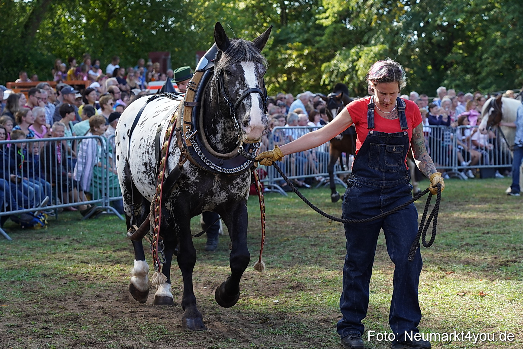 Pferde und Fohlenschau 2022 0168 